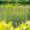 DRAUSY GmbH - Winner Small Image